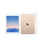 Apple iPad Air 2  64GB Wi-Fi 9.7" Tablet - Gold
