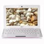ASUS EeePC 1008HA SeaShell in Pink - 5 Hour Battery Life