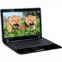 Asus EEE PC 1201HA -BLK023M Netbook in Black