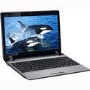 Asus EEE PC 1201HA Netbook in Silver