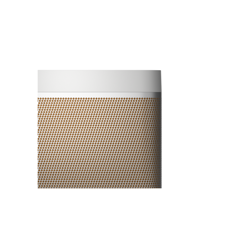Bang & Olufsen Beolit 20 Grey Mist Bluetooth Speaker