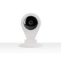 GRADE A1 - As new but box opened - Wireless Wi-Fi Pet & Security Camera with Two-Way Talk Functionality
