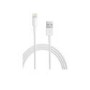 Genuine Apple Lightning to USB Cable 1M - Loose Packaging