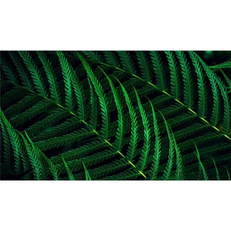 Philips 5000 Series 27B2G5500 27" IPS QHD 100Hz Efficiency Business Monitor