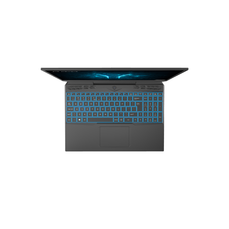 Medion Deputy P10 Core i7-10750H 16GB 512GB SSD 15.6 Inch FHD GeForce RTX 2060 6GB Windows 10 Gaming Laptop 