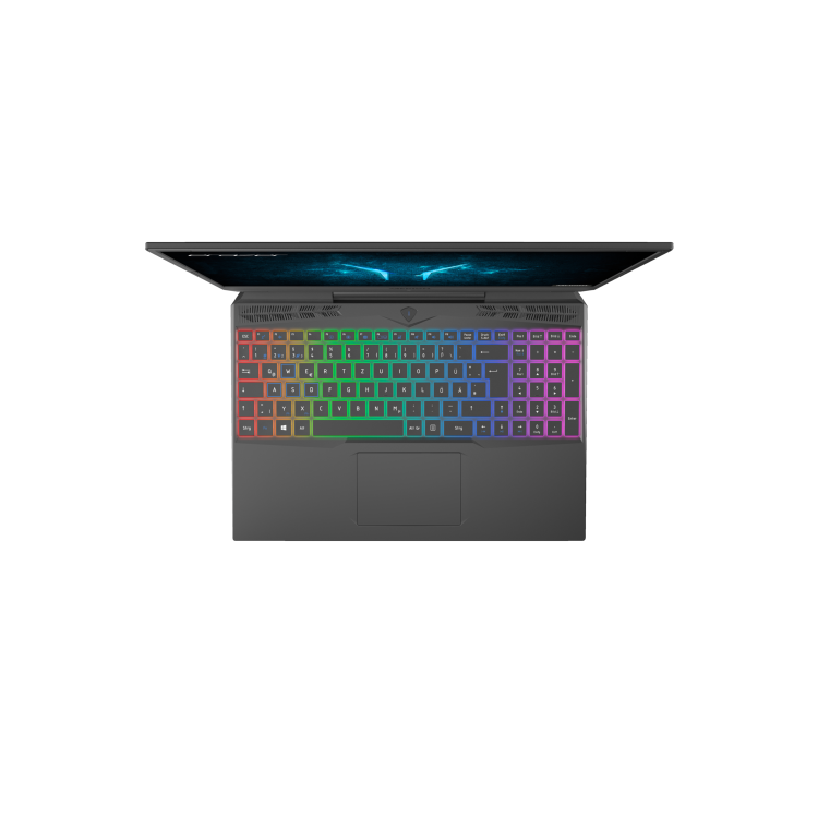 Medion Deputy P10 Core i7-10750H 16GB 512GB SSD 15.6 Inch FHD GeForce RTX 2060 6GB Windows 10 Gaming Laptop 