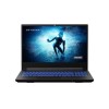 Medion Erazer Deputy P25 15.6&quot; FHD 144Hz AMD Ryzen 5-5600H 16 GB 512 GB  RTX 3060 Windows 11 Home Gaming Laptop