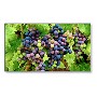 NEC X554UNS 55" Full HD LED Large Format Display
