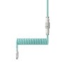 HyperX USB-C Coiled Cable - Green & White