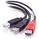 Cables To Go USB 2.0 B Male to 2 USB A Male Y-Cable Cables To Go USB 2.0 B Male to 2 USB A Male Y-Cable