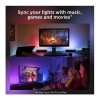 Philips Hue Play Wall Entertainment Light Double Pack