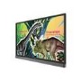 BenQ RP704K 70" 4K Ultra HD Android OS Interactive Large Format Display