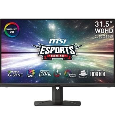 MSI MAG321QR-QD 31.5" WQHD 170Hz Gaming Monitor