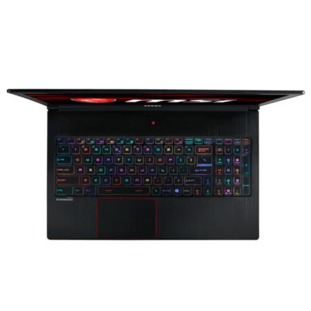 MSI GS63 Stealth 8RE Core i7-8750H 16GB 1TB + 256GB SSD GeForce GTX 1060 15.6 Inch Windows 10 Gaming Laptop 