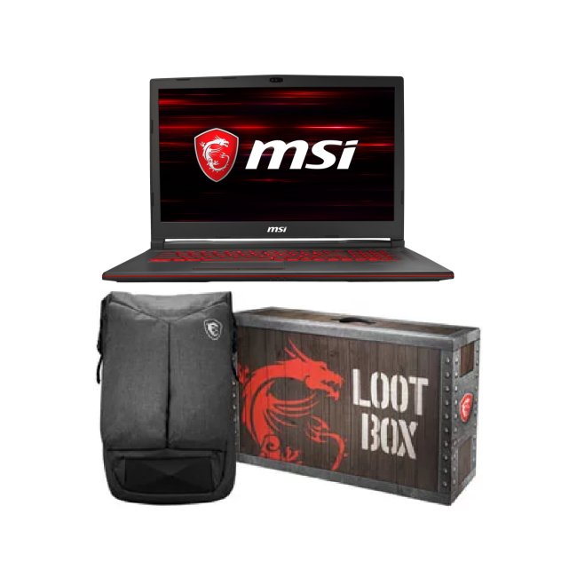MSI GL73 9SD Core i7-9750H 16GB 256GB SSD 1TB 17.3 Inch FHD GeForce GTX 1660Ti  Windows 10 Home Gaming Laptop
