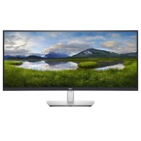Dell P3421W 34" WQHD IPS USB-C Curved Monitor 