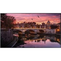 Samsung QB75R 75" 4K UHD Large Format Display