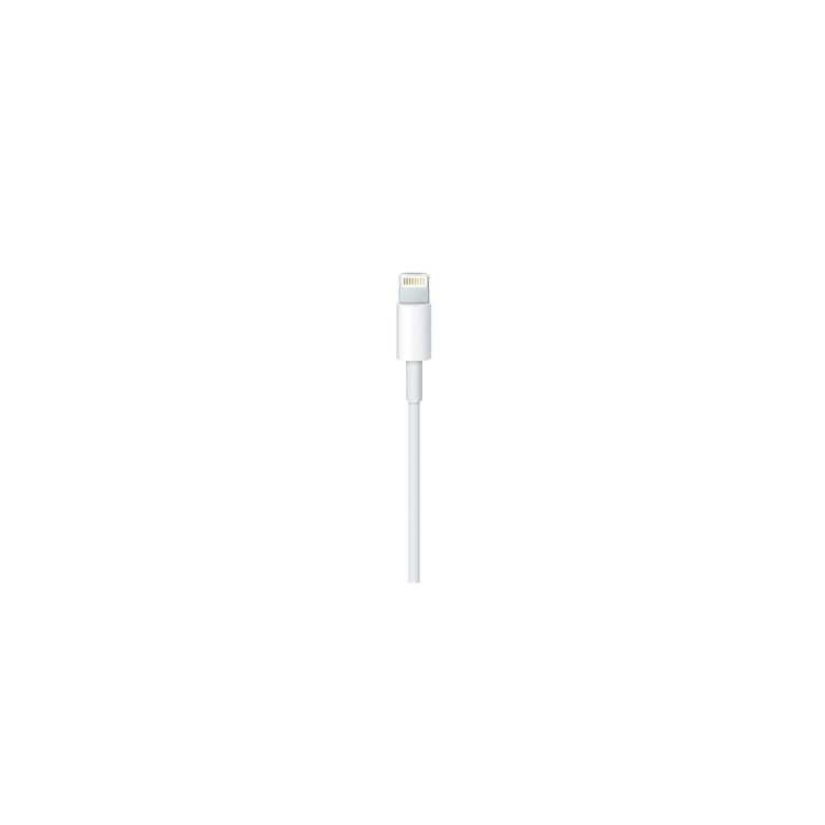 Genuine Apple Lightning to USB Cable 1M - Loose Packaging