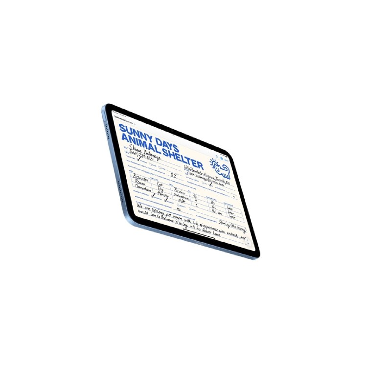 Refurbished Apple iPad 2022 10.9" Blue 256GB 4G + Wi-Fi Tablet