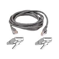 Belkin patch cable - 30 m