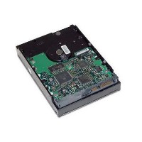 HP hard drive - 750 GB - SATA-300