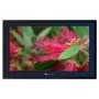 Aqualite AQLS-32 32 Inch Weatherproof LCD TV