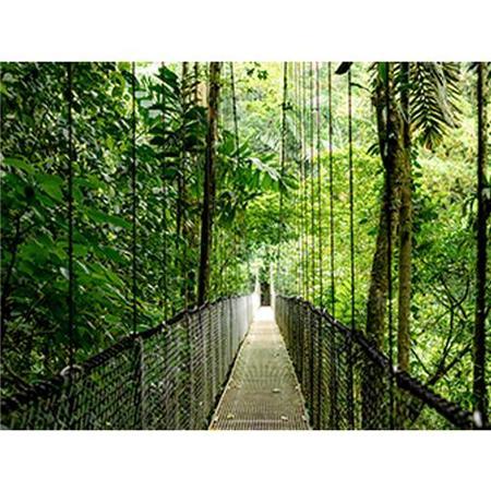 HP EliteBook 6 G1a AMD Ryzen 5 16GB RAM 512GB SSD 16 Inch Windows 11 Pro Laptop