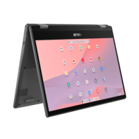 ASUS CM14 MediaTek 8GB RAM 128GB eMMc 14 Inch Chromebook