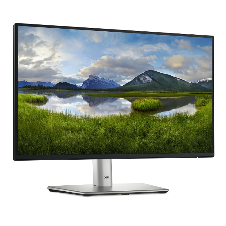 Dell P2225H 21.5" IPS Full HD 100Hz USB-C Monitor