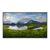Dell P2425HWO 24" IPS Full HD 100Hz without stand Monitor Dell P2425HWO 24" IPS Full HD 100Hz without stand Monitor
