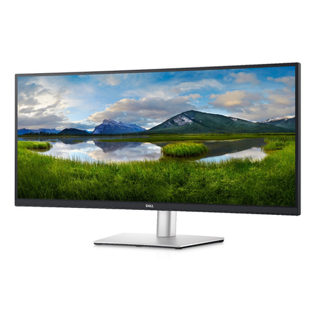 Dell P3421W 34" WQHD IPS USB-C Curved Monitor 
