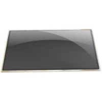 LCD panel Laptop DF056