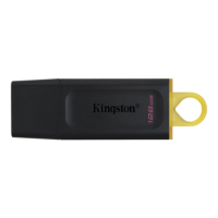 Kingston DataTraveler 256GB USB Type-A Flash Drive128GB USB Type-A Flash Drive Kingston DataTraveler 256GB USB Type-A Flash Drive128GB USB Type-A Flash Drive