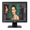 HP ProDisplay P17A 17&quot; Full HD Monitor