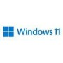 Microsoft Windows 11 Pro 64bit All Language ESD