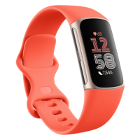 Fitbit Charge 6 Champagne Gold Aluminium with Coral Band Fitness Tracker