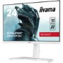 iiyama G-Master GB2470HSU 23.8" IPS Full HD 165Hz Gaming Monitor