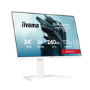 iiyama G-MASTER GB2471HSU 24" Fast IPS Full HD 240Hz 0.3ms Gaming Monitor