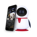 HD 1080p Wifi Pet Camera