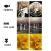 3in1 Camera Lens Attachments for Perfect Mobile Phone Pictures - FishEye +  WideAngle + Macro