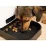 GRADE A1 - electriQ Pet Feeder with HD 720p Camera 2-way audio & dedicated app