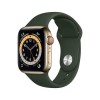 GRADE A1 - Apple Watch Series 6 GPS + Cellular - 40mm Gold Stainless Steel Case with Cyprus Green Sport Band - Regular