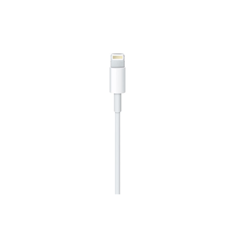 Apple Lightning to USB Cable 2M