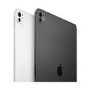 Apple iPad Pro 2024 11" Standard Glass Silver 2TB Wi-Fi Tablet