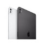 Apple iPad Pro 2024 11" Standard Glass Space Black 2TB Cellular Tablet