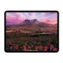 Apple iPad Pro 2024 11" Standard Glass Space Black 2TB Cellular Tablet