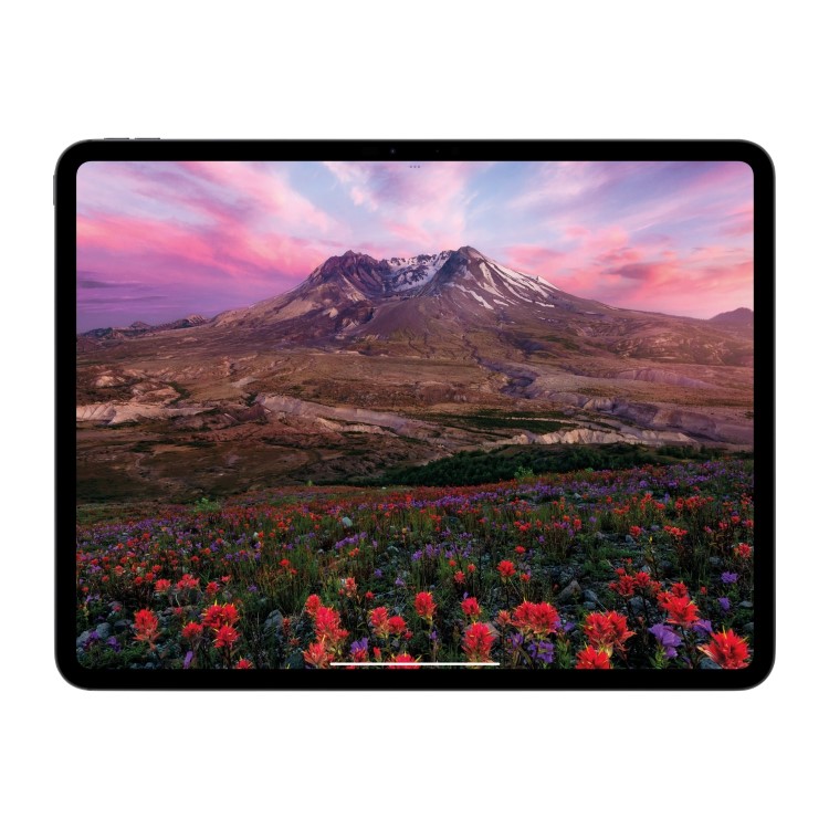 Apple iPad Pro 2024 11" Standard Glass Space Black 2TB Cellular Tablet