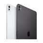 Apple iPad Pro 2024 13" Standard Glass Silver 1TB Wi-Fi Tablet