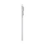 Apple iPad Pro 2024 13" Standard Glass Silver 1TB Wi-Fi Tablet