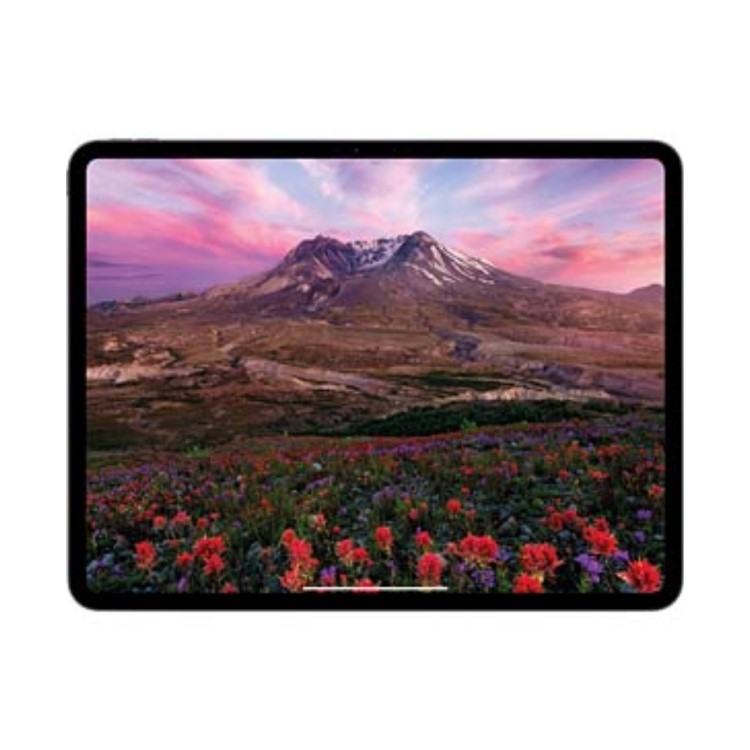 Apple iPad Pro 2024 13" Standard Glass Silver 1TB Wi-Fi Tablet